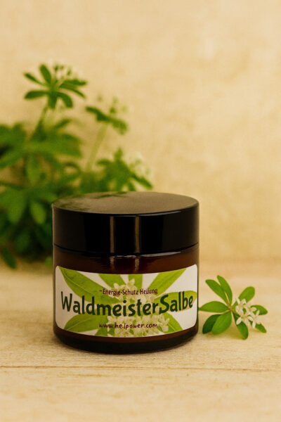 Waldmeister Salbe - Heilendes Zauberkraut