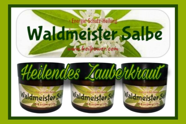 Waldmeister Salbe - Heilendes Zauberkraut